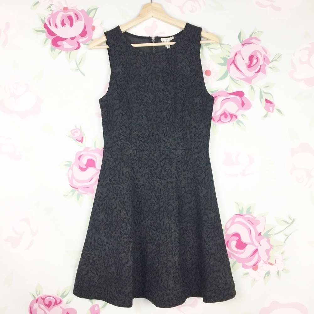 NEW Joie Glynnis Black Leopard Print Mini Dress M
